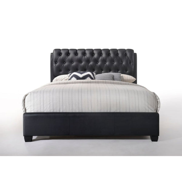 ACME Ireland II Black PU Queen Bed Model 14350Q - MONAVILLA