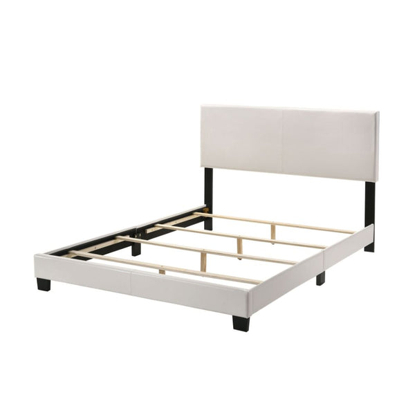 ACME Lien White PU Queen Bed Model 25710Q - MONAVILLA