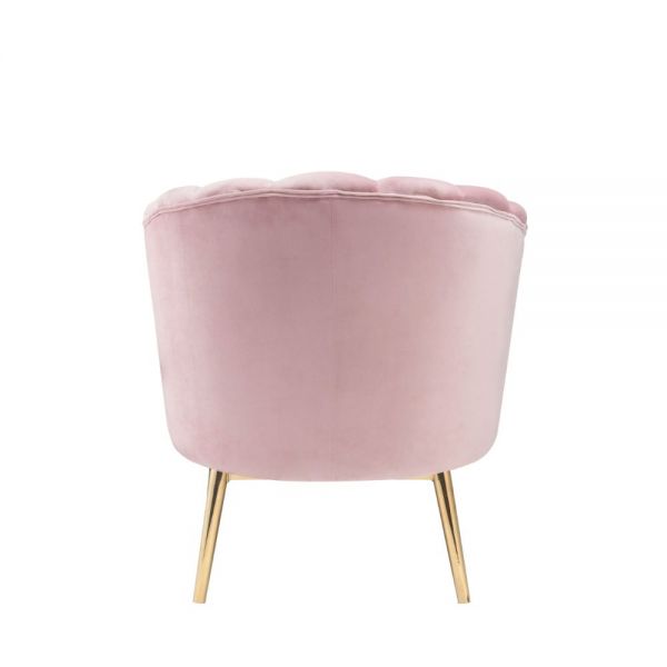 ACME Colla Blush Pink Velvet & Gold Accent Chair Model 59814 - MONAVILLA