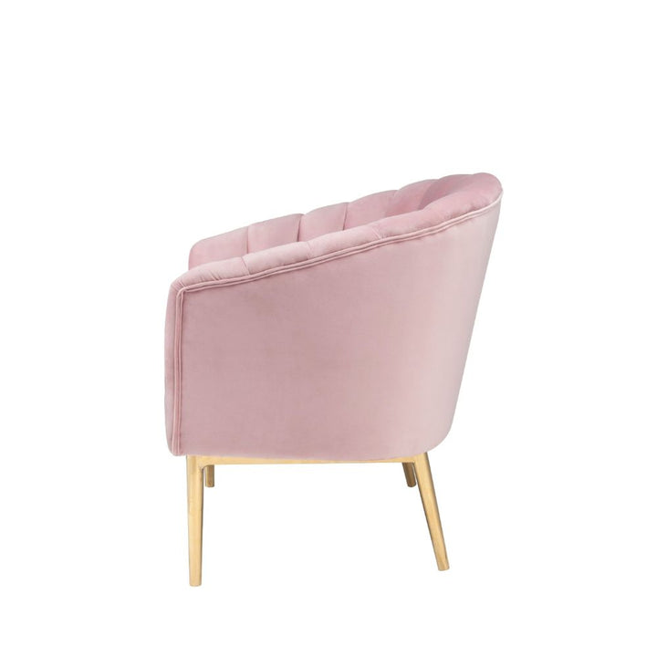 ACME Colla Blush Pink Velvet & Gold Accent Chair Model 59814 - MONAVILLA