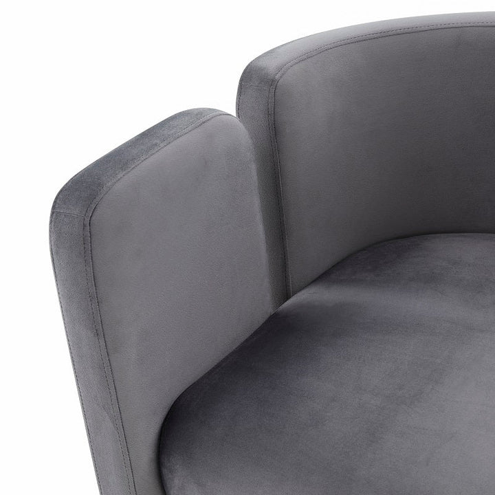 Modrest Tirta Modern Grey Accent Chair - MONAVILLA