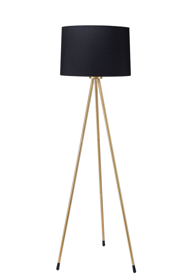 Furniture Of America Zera Black/Gold Contemporary Floor Lamp, Black Gold Model L731181-BK - MONAVILLA