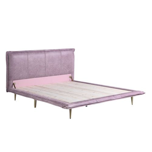 ACME Metis Pink Top Grain Leather Bed Model BD00561 - MONAVILLA