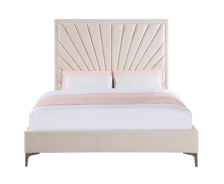 ACME Faiz Beige Velvet Queen Bed Model BD00957Q - MONAVILLA