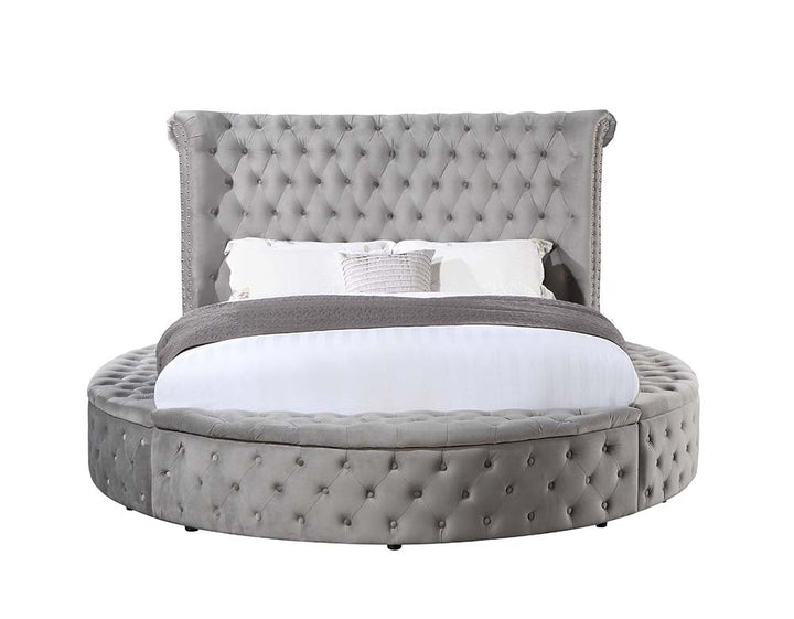 ACME Gaiva Gray Velvet Bed Model BD00967 - MONAVILLA