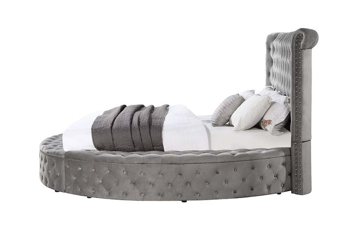 ACME Gaiva Gray Velvet Bed Model BD00967 - MONAVILLA