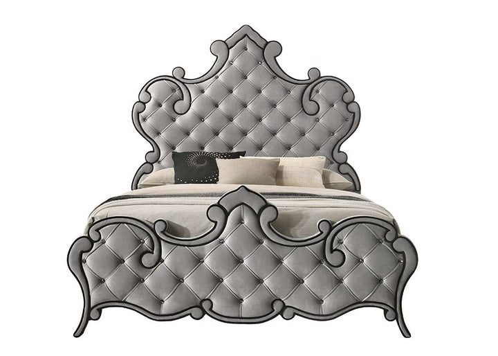 ACME Perine Gray Velvet Bed Model BD01062 - MONAVILLA