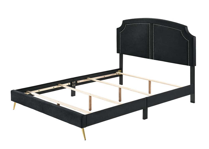 ACME Zeena Black Velvet Queen Bed Model BD01176Q - MONAVILLA