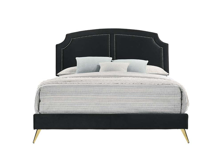 ACME Zeena Black Velvet Queen Bed Model BD01176Q - MONAVILLA