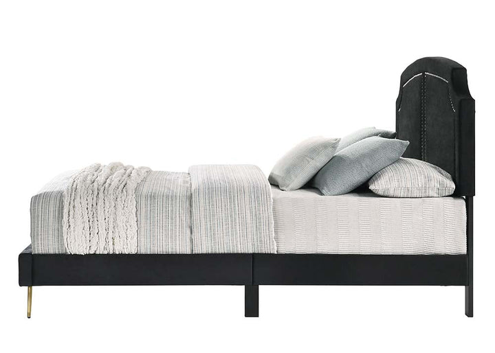 ACME Zeena Black Velvet Queen Bed Model BD01176Q - MONAVILLA