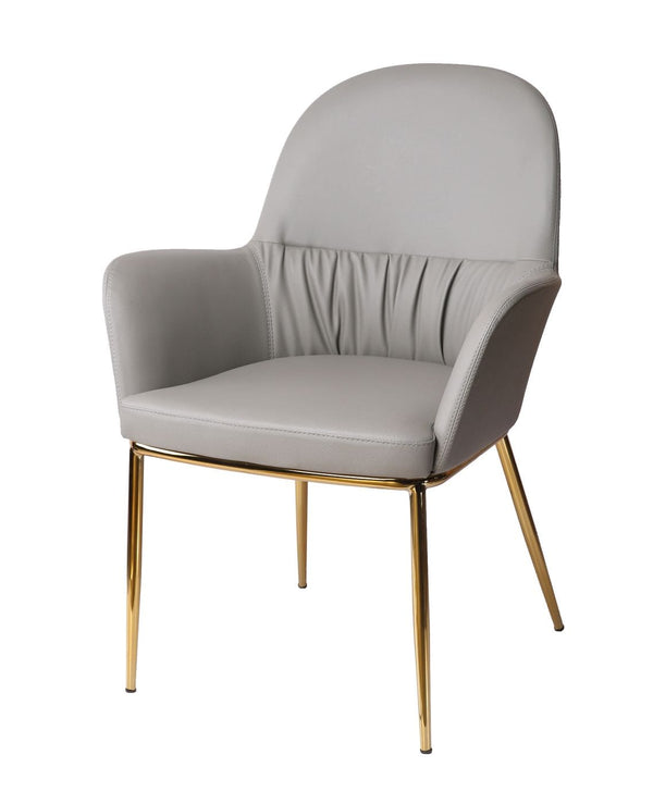 Modrest Blanton Modern Grey Leatherette & Gold Accent Chair - MONAVILLA