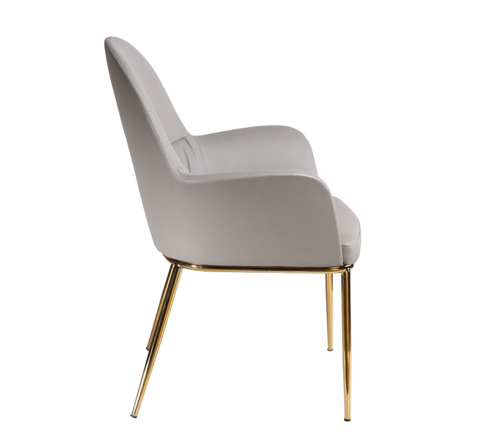 Modrest Blanton Modern Grey Leatherette & Gold Accent Chair - MONAVILLA