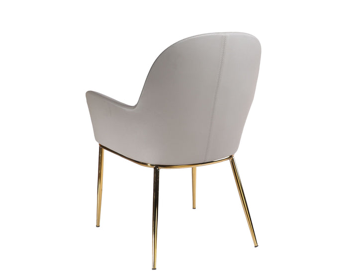 Modrest Blanton Modern Grey Leatherette & Gold Accent Chair - MONAVILLA