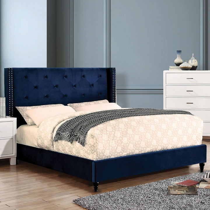 Furniture Of America Algol Navy Transitional Eastern King Bed Model CM7677NV-EK-BED-VN - MONAVILLA