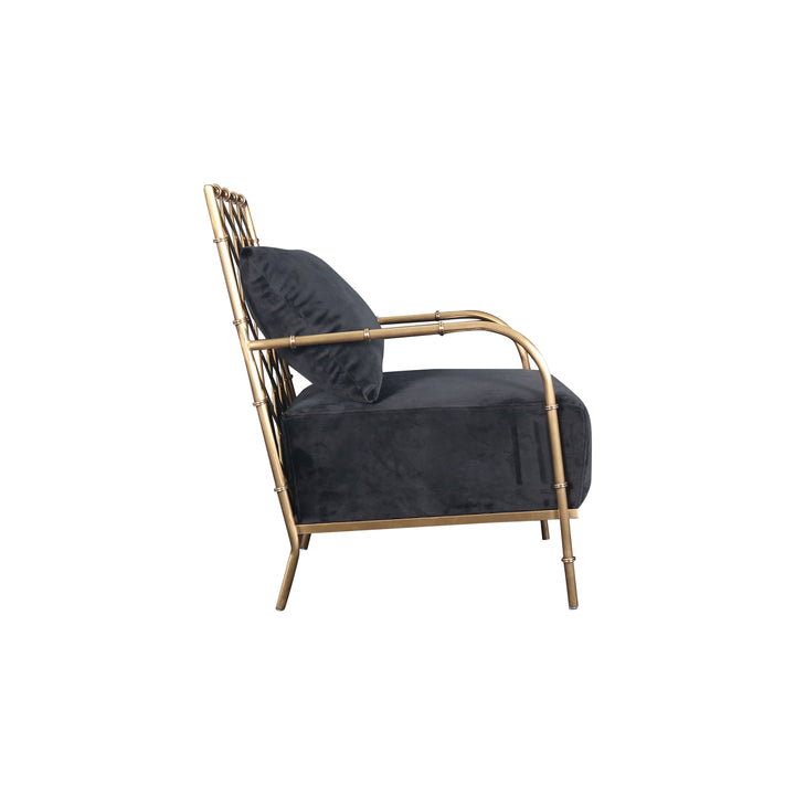 Divani Casa Ignacio Glam Black Velvet & Gold Accent Chair - MONAVILLA