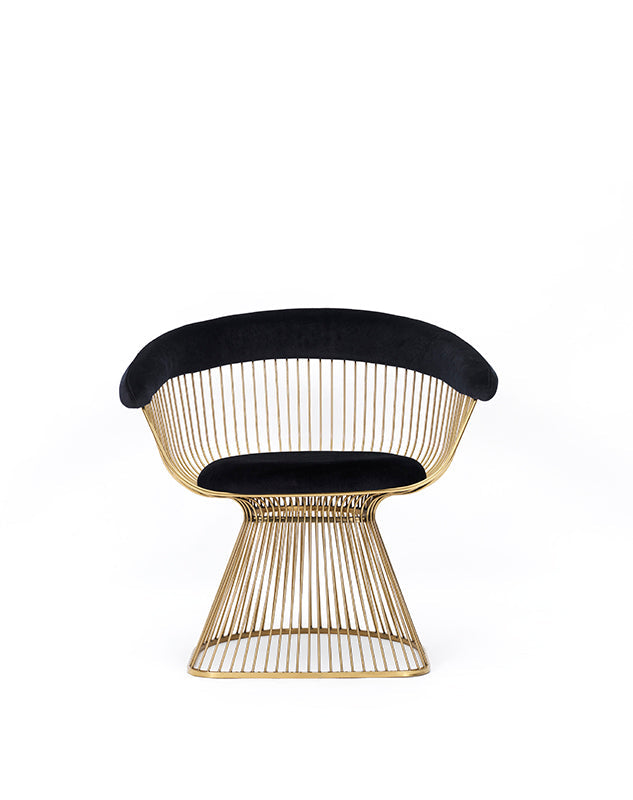 Modrest Chandler Black Velvet & Gold Dining Chair - MONAVILLA