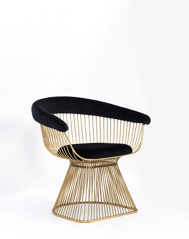 Modrest Chandler Black Velvet & Gold Dining Chair - MONAVILLA