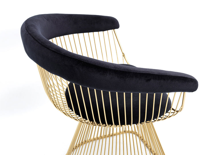 Modrest Chandler Black Velvet & Gold Dining Chair - MONAVILLA